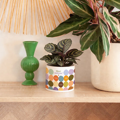 Pot de fleurs 48 cl Multi-color Merci photo N° 4