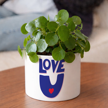 Pot de fleurs 48 cl Love, toujours