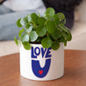 Pot de fleurs 48 cl Love, toujours photo N° 2