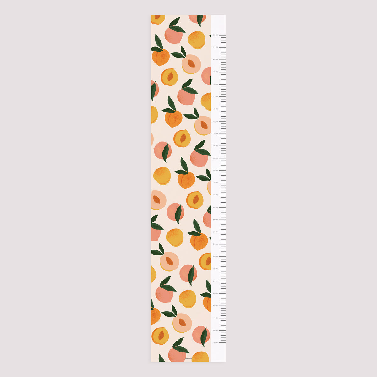 Toise Naissance Papier Cueillette d'Été photo N° 5