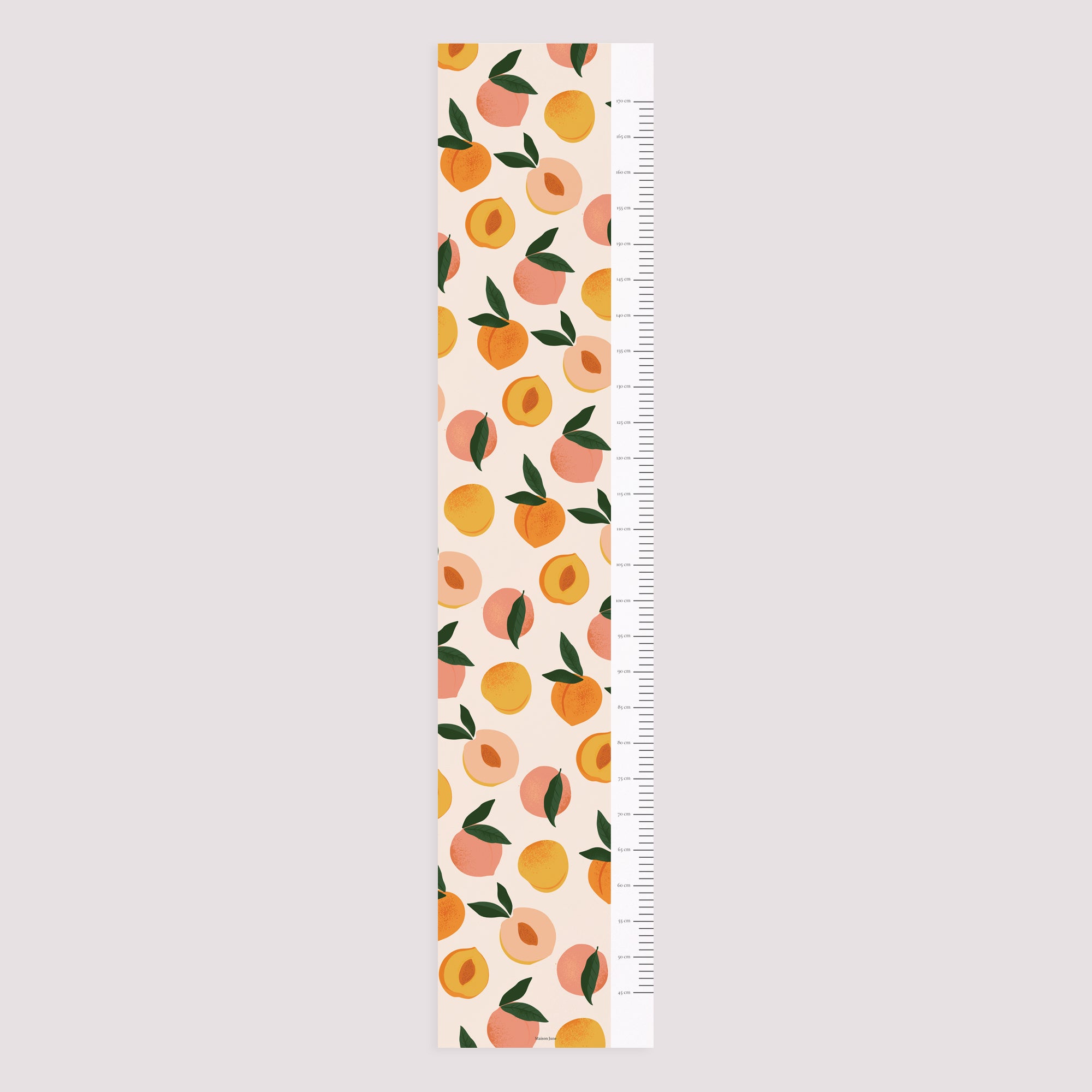 Toise Naissance Papier Cueillette d'Été photo N° 5