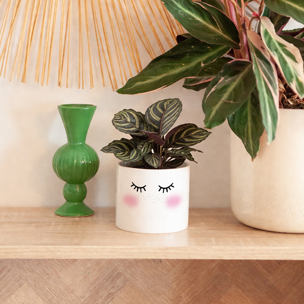 Pot de fleurs 48 cl Frimousse photo N° 4
