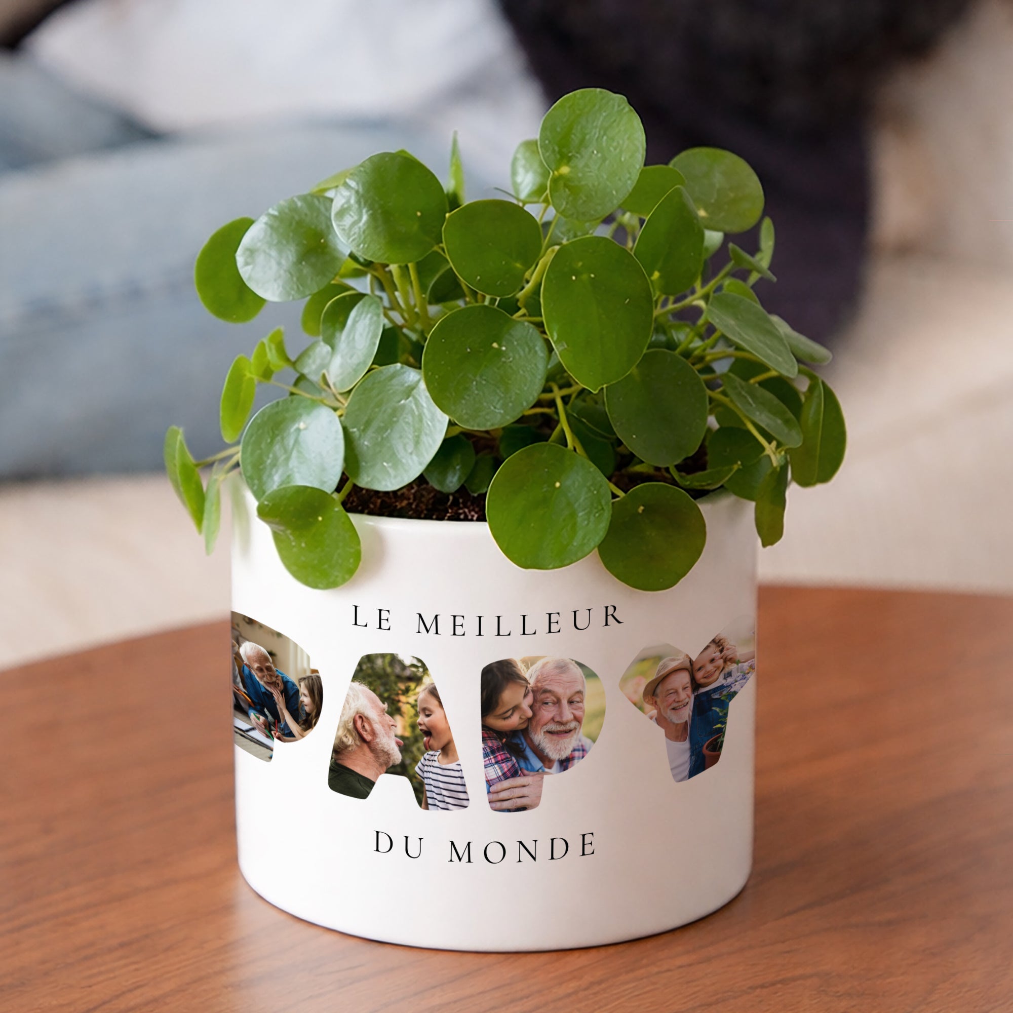 Pot de fleurs 48 cl Papy en souvenirs photo N° 2