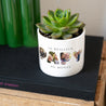 Pot de fleurs 48 cl Papy en souvenirs photo N° 3