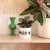Pot de fleurs 48 cl Papy en souvenirs photo N° 4