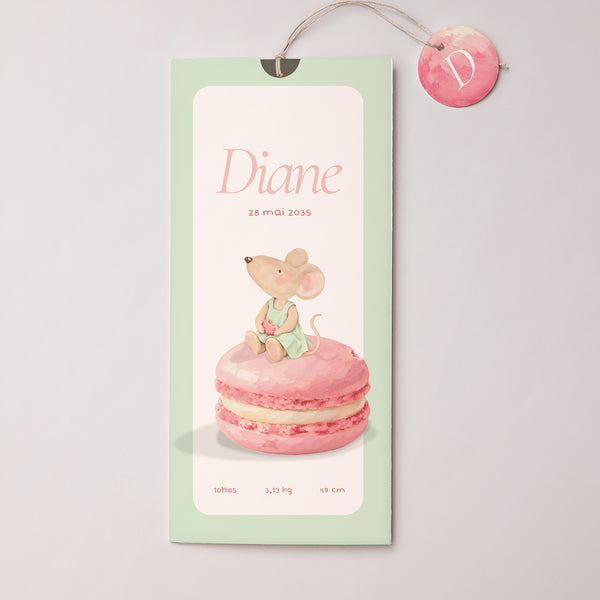 Faire-part Naissance Pochette portrait 2 cartes, étiquette Souris série macaron photo