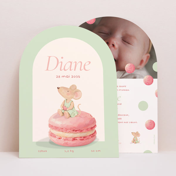 Faire-part Naissance Petite arche Souris série macaron photo