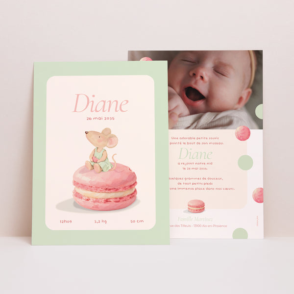 Faire-part Naissance Portrait Souris série macaron photo