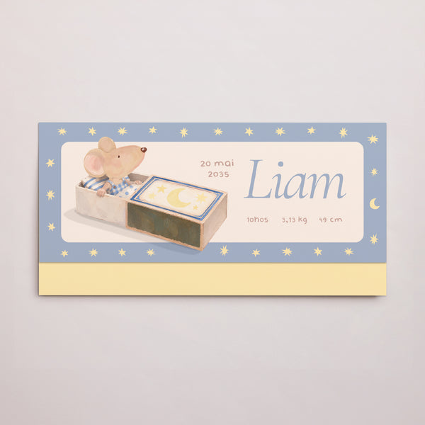 Faire-part Naissance pochette rectangle, 2 cartes Souris série boite photo