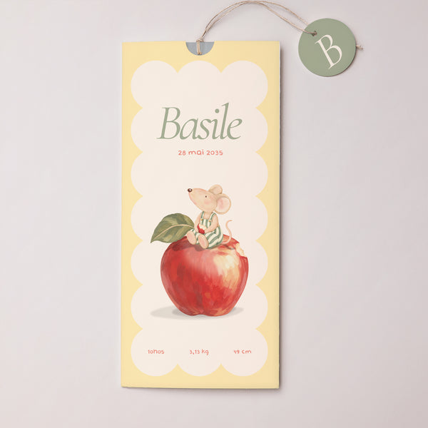 Faire-part Naissance Pochette portrait 2 cartes, étiquette Pomme / Souris série photo