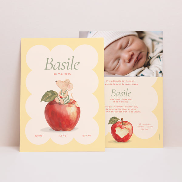 Faire-part Naissance Portrait Pomme / Souris série photo