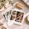 Calendrier Fin d'année 6 cartes Au fil des mois photo N° 2