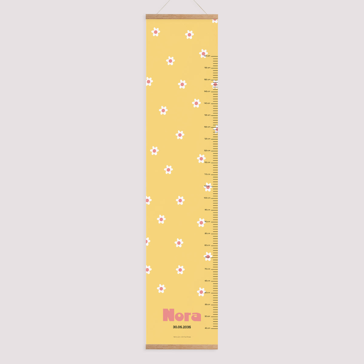 Toise Naissance Papier Bouton d’Or photo N° 1