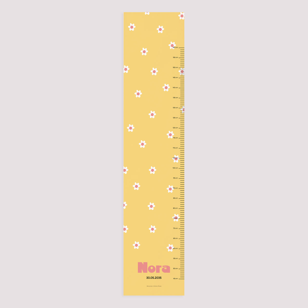 Toise Naissance Papier Bouton d’Or photo N° 5
