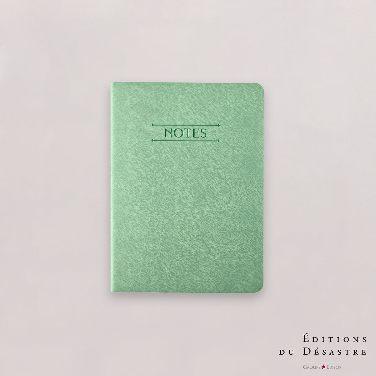 Carnet Nuance - Simili cuir - A6 - Menthe claire - 128 pages photo N° 1