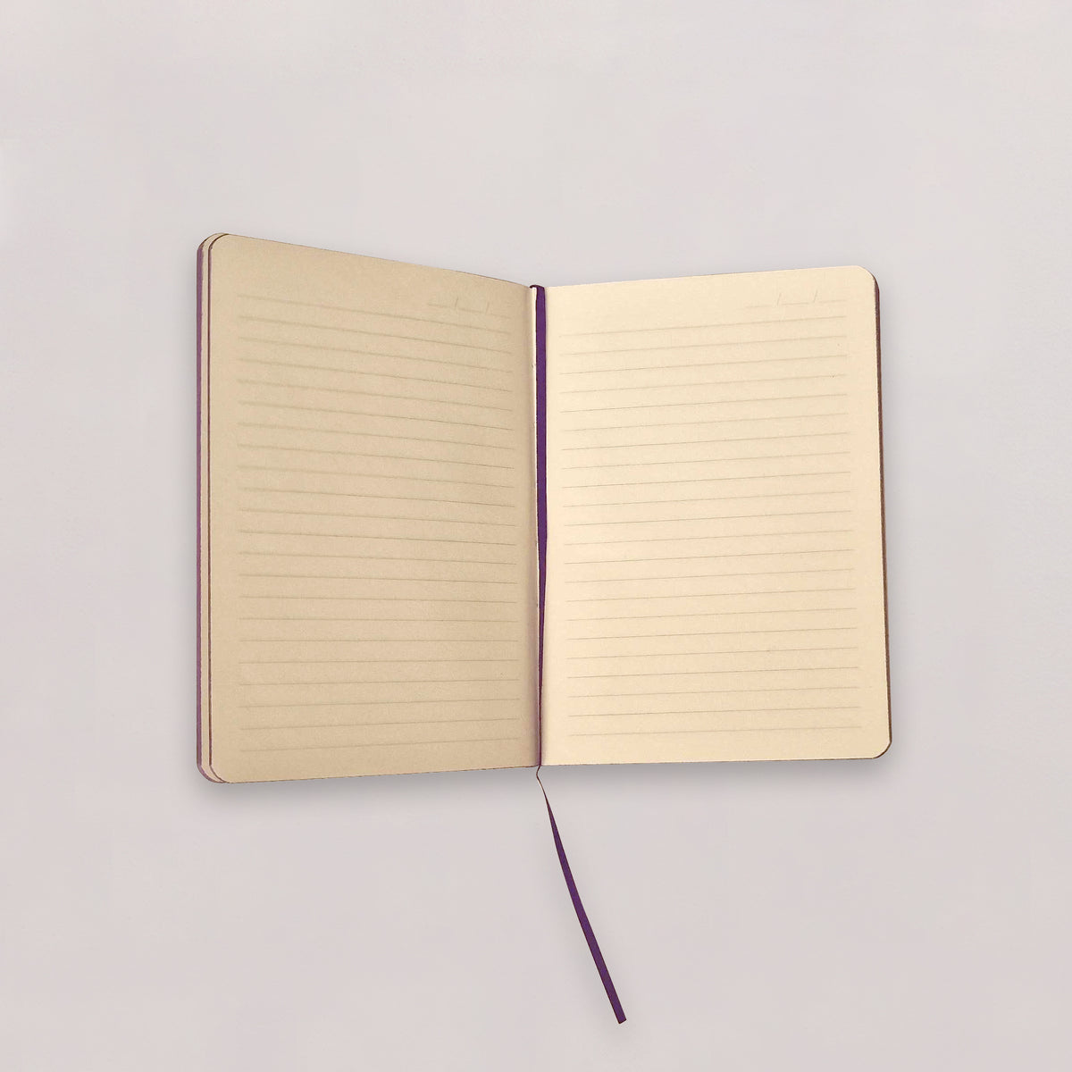 Carnet Nuance - Simili cuir - A6 - Violet intense - 128 pages photo N° 3