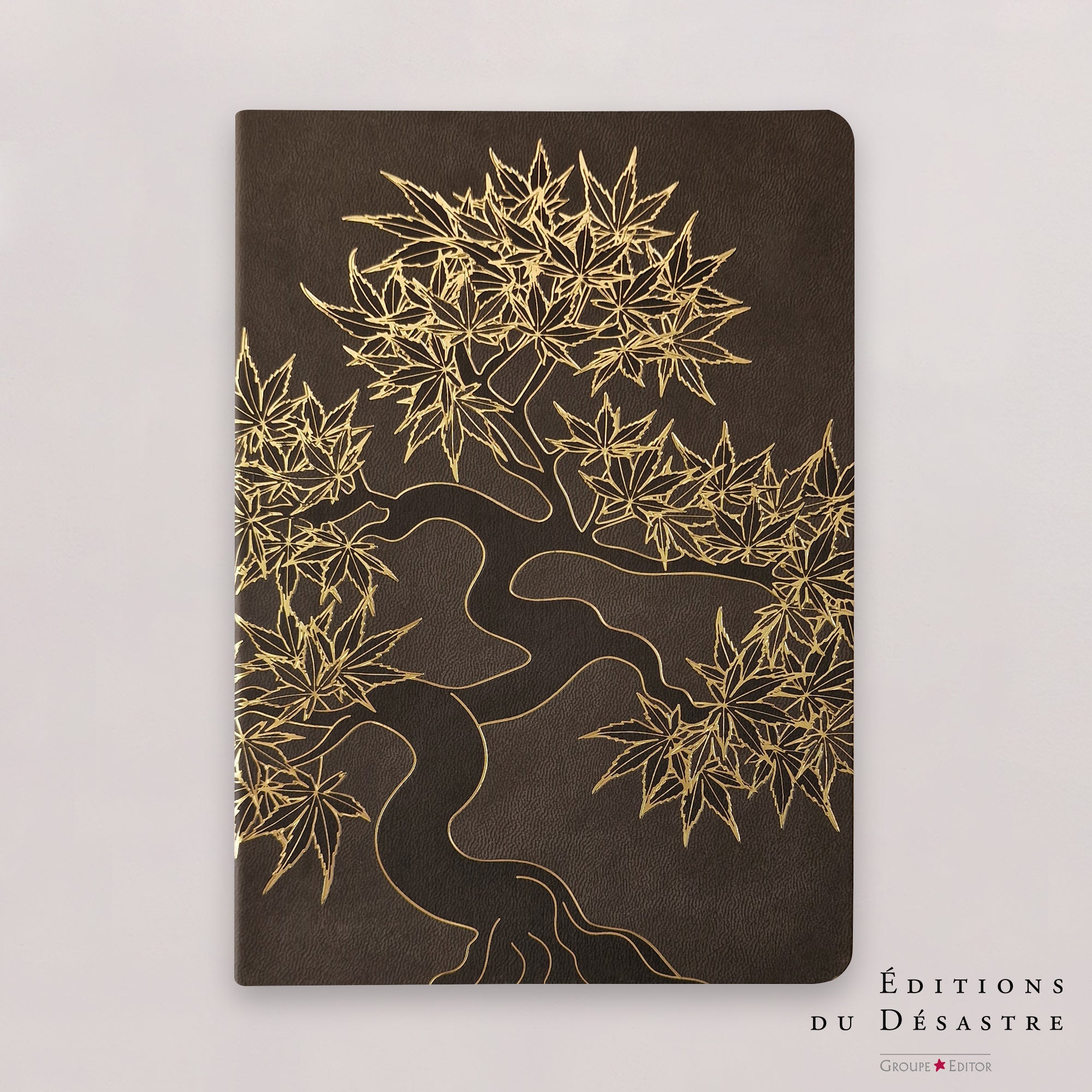 Carnet Pepakura - Simili cuir - A5 - Erable - 192 pages photo N° 1